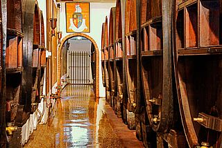 Kælder Clos Cibonne