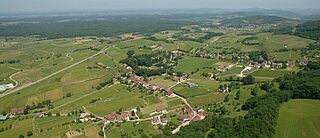 Weinberg Jura