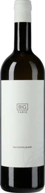 BIG Sauvignon Blanc (vorher: Sauvignon Blanc Barrel fermented) 2019