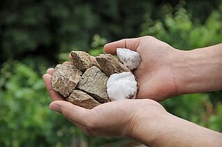 Terroir beim Weingut