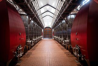 Weintanks im Weinkeller Taaibosch