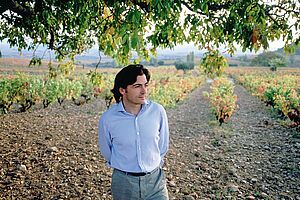 Bodegas Telmo Rodriguez Ribera del Duero