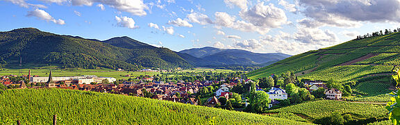 Die Landschaft im Elsass