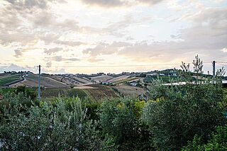 Emidio Pepes vinmarker