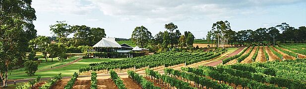Western Australia Weinberg