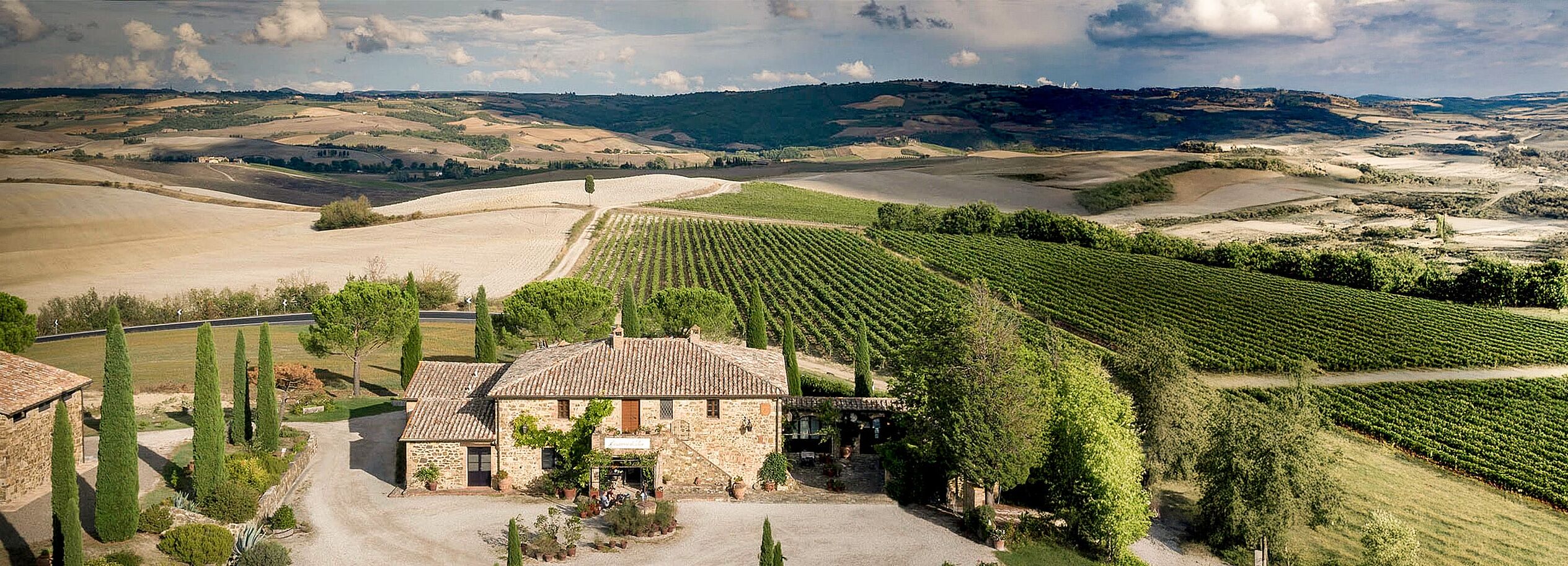 In den Weinbergen Brunellos