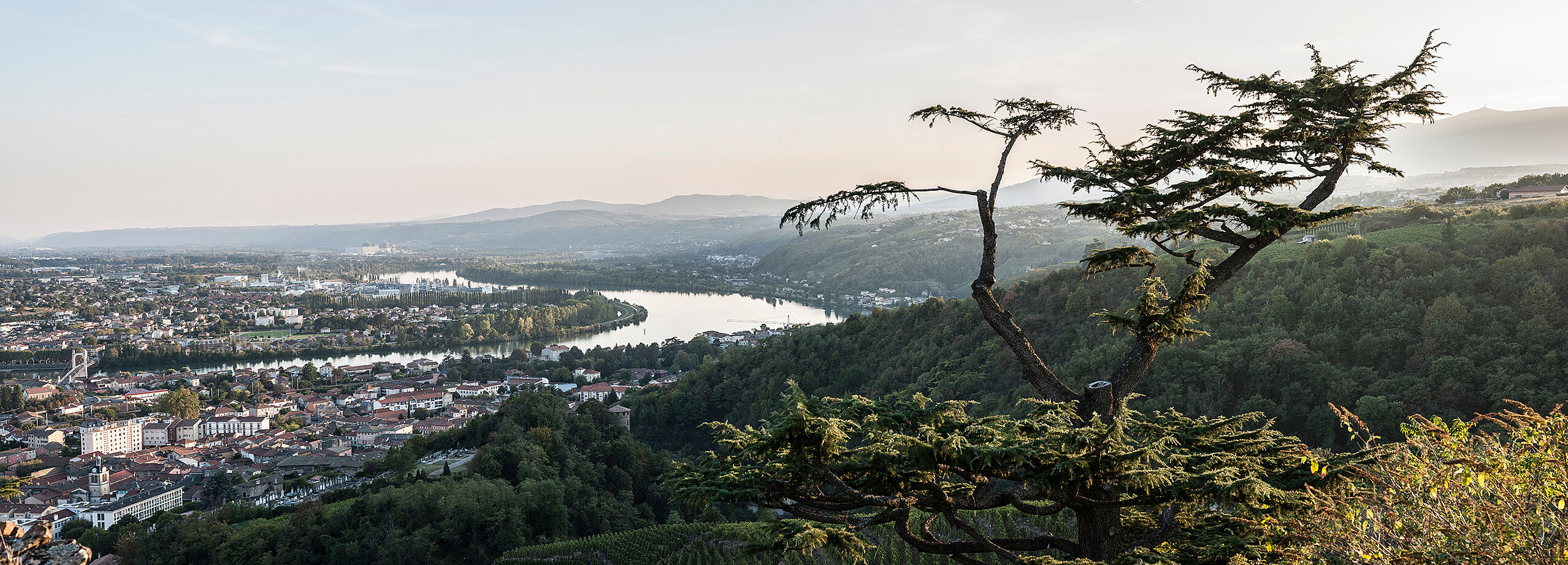 Die Landschaft der Rhone
