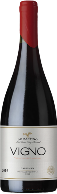 Old Vines Series VIGNO (ehemals La Aguada)