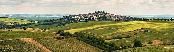 Vinregionen Sancerre