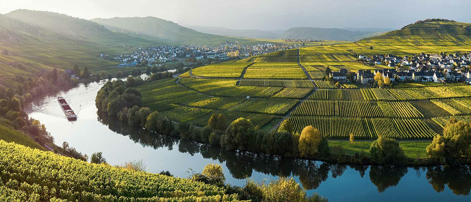 Mosel Saar Ruwer Wein - Lobenbergs Gute Weine