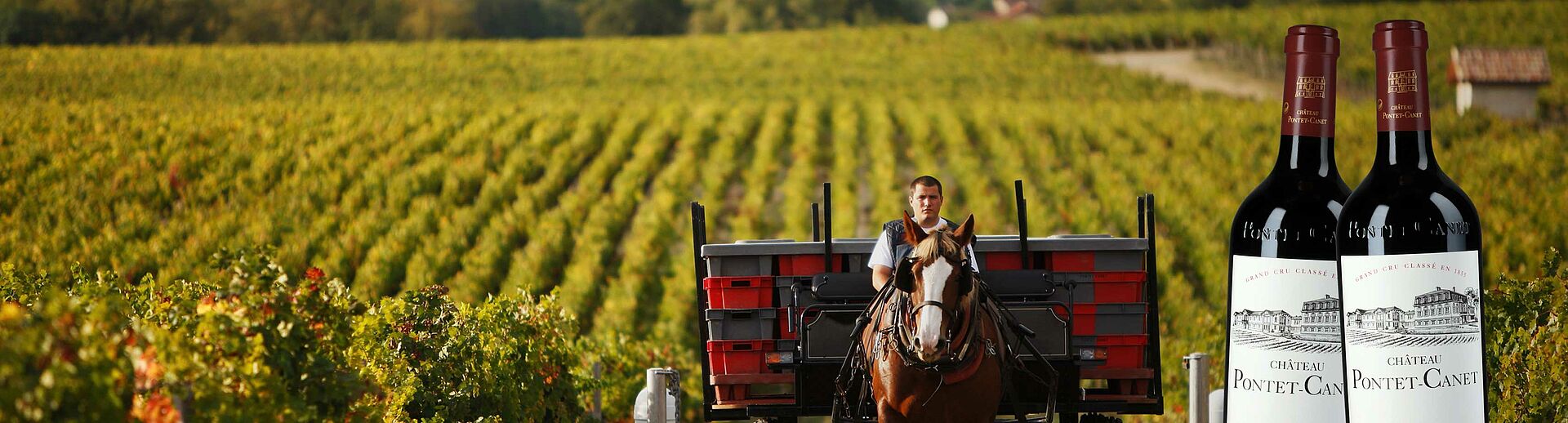 PONTET CANET PONTET CANET