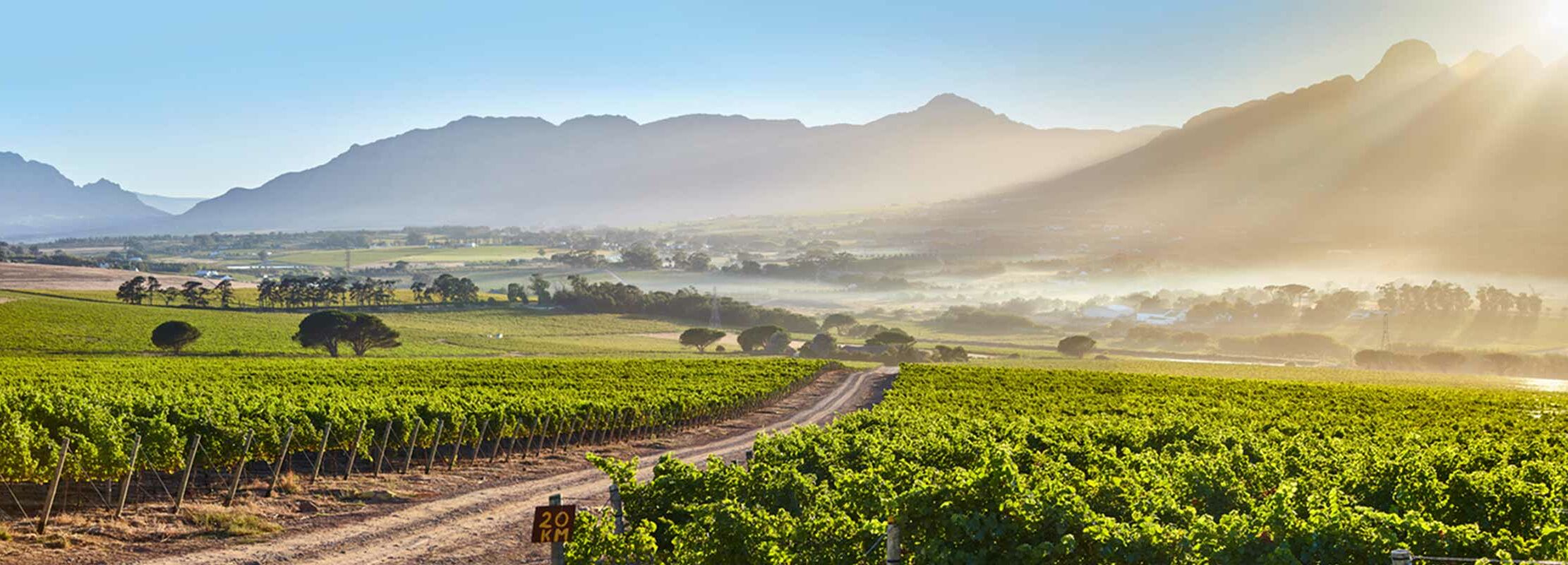 Weinlandschaft in Südafrika