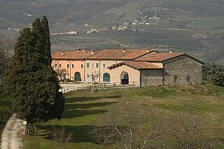 Weingut Tedeschi Weingut Tedeschi