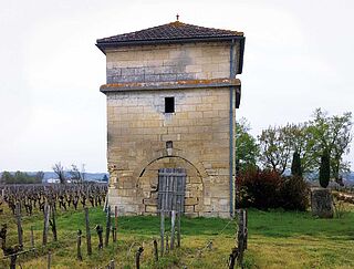 Rundvisning på Perey vingård