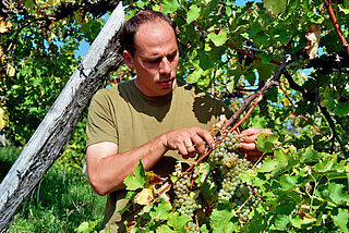 Ewald Tscheppe Ewald Tscheppe