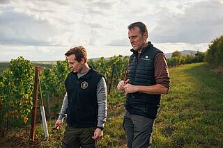 Zwei Winzer auf dem Weinfeld Kranz, umgeben von Weinreben Winzerinnen auf dem Weinfeld Kranz