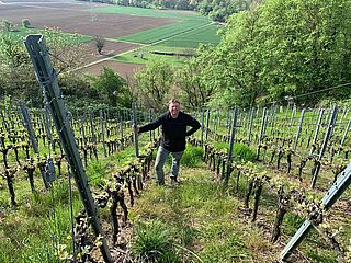 Hanspeter Ziereisen auf einem seiner Weinfelder