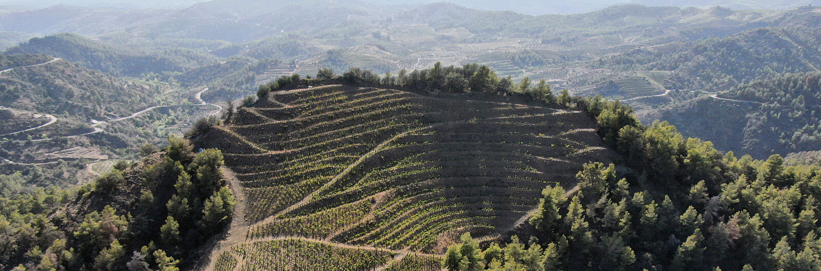 Adrets del Priorat, Spanien