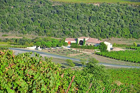 Domaine Saint Antonin Weingut