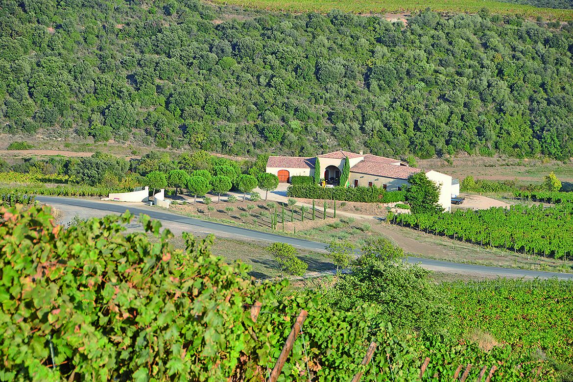 Domaine Saint Antonin