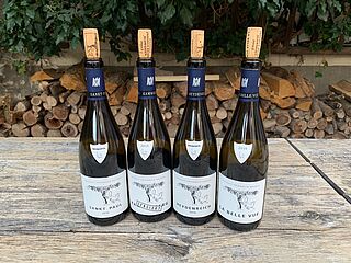 Weine vom Weingut Friedrich Becker