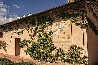 Siro Pacenti vingård