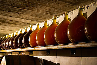 Im Weinkeller von Venus La Universal