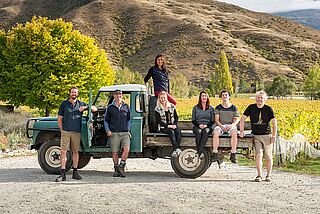 Vinbonde foran et bjerg i New Zealand