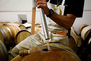 Weinverarbeitung im Weinkeller Philipponnat