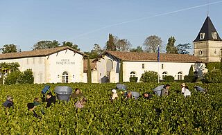 Tronquoy Lalande Wein