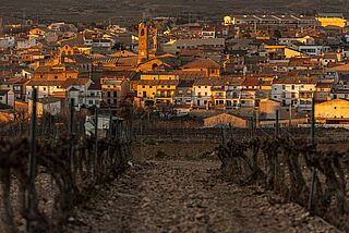 Weingut Viña Zorzal bei Sonnenuntergang
