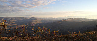 Walter Massa Weinfeld