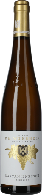 Riesling Kastanienbusch aus dem Rotliegenden Großes Gewächs 2022