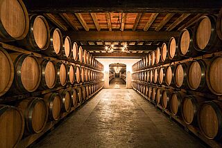 Weinkeller Batailley mit Weinfaessern