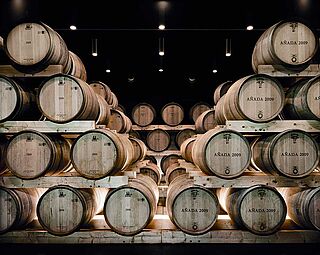 Bodegas Emilio Moro Kælder