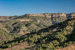 Weingut Terroir al Limit Weingut Terroir al Limit