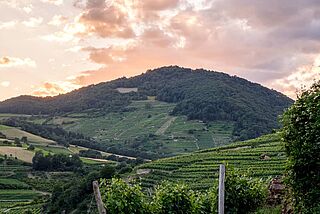 Grabenwerkstatt Weinberg Ried Trenning bei Sonnenuntergang