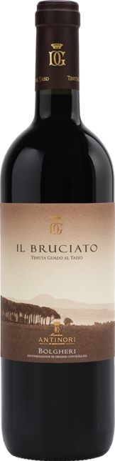 Tenuta Guado al Tasso - Il Bruciato 2020