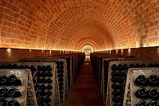 Vinkælder i Raventos i Blanc Vinkælder i Raventos i Blanc