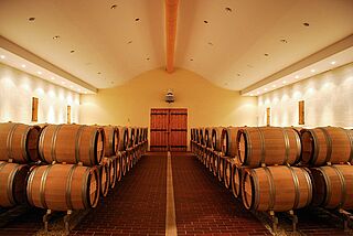 Weinkeller und Weinfaesser des Certan de May