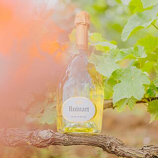 Eine Flasche Champagner vom Weingut Ruinart