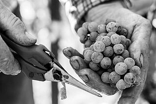 J. B. Becker J. B. Becker