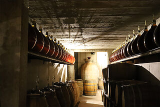 Der Weinkeller bei Venus La Universal