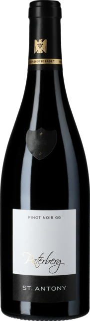 Pinot Noir Nierstein Paterberg Großes Gewächs 2020
