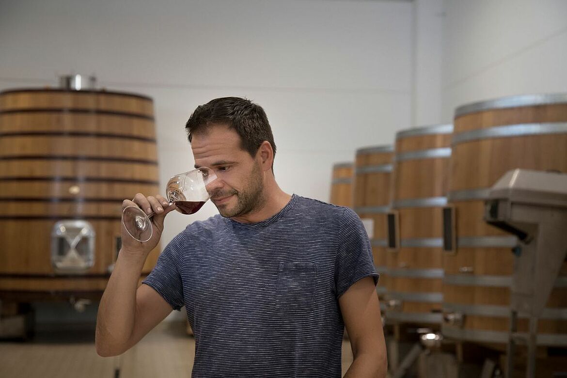 Bodegas y Vinedos Ponce