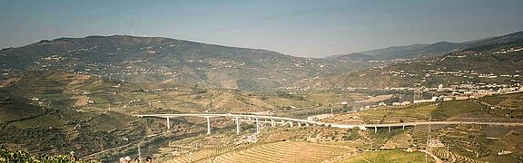 Weinberge in der Region Douro