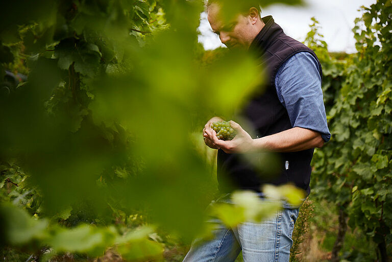 Neuer Wein In Alten Schläuchen Natur, Amphore, Orange – neuer Wein in alten Schläuchen? - Lobenbergs
