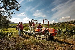 Weinberg von Gulfi Weinberg von Gulfi
