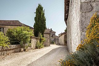 Auffahrt des Weinguts Tesseron