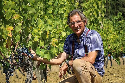 Francesco auf dem Weingut Spadafora, Weinreben